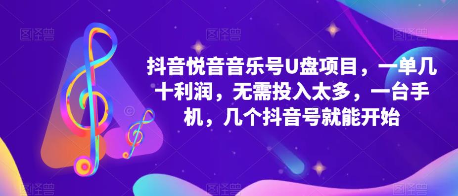 抖音音乐号U盘项目 一单几十利润 无需投入太多 一台手机 几个抖音号就开始-BT网赚资源网