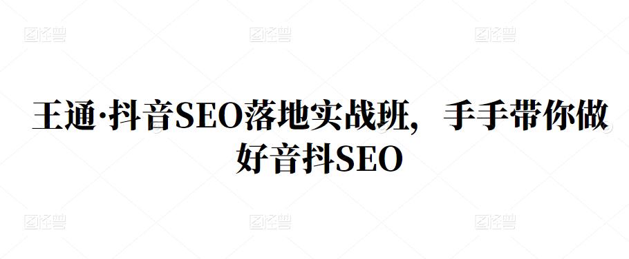 王通·抖音SEO落地实战班,手手带你做好音抖SEO-布谷屋免费网赚资源网
