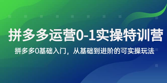 拼多多-运营0-1实操训练营,拼多多0基础入门,从基础到进阶的可实操玩法-布谷屋免费网赚资源网