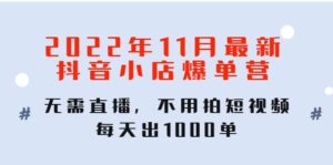 2022年11月最新抖音小店爆单训练营:无需直播,不用拍短视频,每天出1000单-布谷屋免费网赚资源网