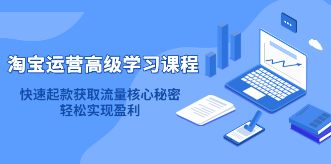 淘宝运营高级学习课程：快速获取流量核心秘密，轻松实现盈利！-BT网赚资源网