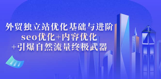 外贸独立站优化基础与进阶，seo优化 内容优化 引爆自然流量终极武器-BT网赚资源网