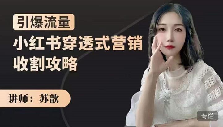 苏歆：小红书穿透式营销收割攻略，引爆流量，助你玩转小红书-布谷屋免费网赚资源网