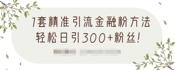 1套精准引流金融粉方法，轻松日引300 粉丝【视频课程】-布谷屋网赚资源网