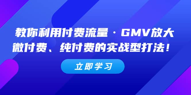 教你利用付费流量·GMV放大，微付费、纯付费的实战型打法-布谷屋免费网赚资源网