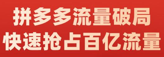 阿杰·拼多多流量破局:如何打黑标,爆款的思路,拼多多流量框架,快速抢占百亿流量-布谷屋免费网赚资源网