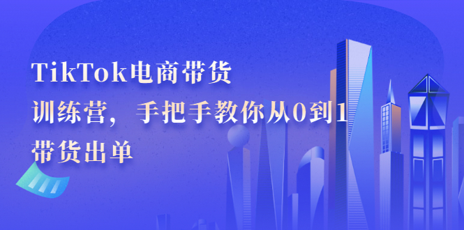 TikTok电商带货训练营，手把手教你从0到1带货出单-BT网赚资源网