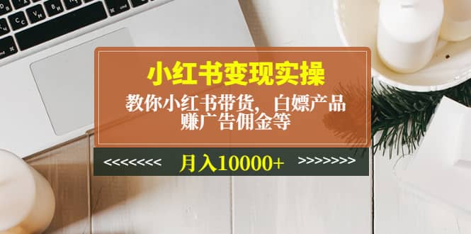 小红书变现实操:教你小红书带货,白嫖产品,赚广告佣金等-布谷屋免费网赚资源网