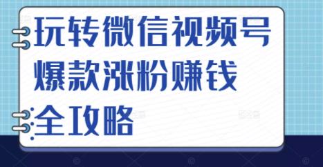 玩转微信视频号爆款涨粉赚钱全攻略,让你快速抓住流量风口,收获红利财富-布谷屋免费网赚资源网