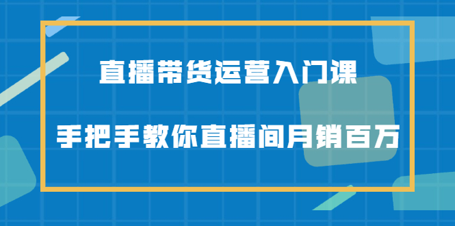 直播带货运营入门课，手把手教你直播间月销百万-BT网赚资源网