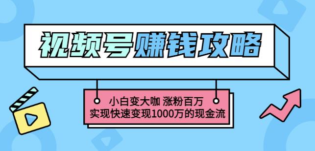 玩转微信视频号赚钱:小白变大咖涨粉百万实现快速变现1000万的现金流-布谷屋免费网赚资源网