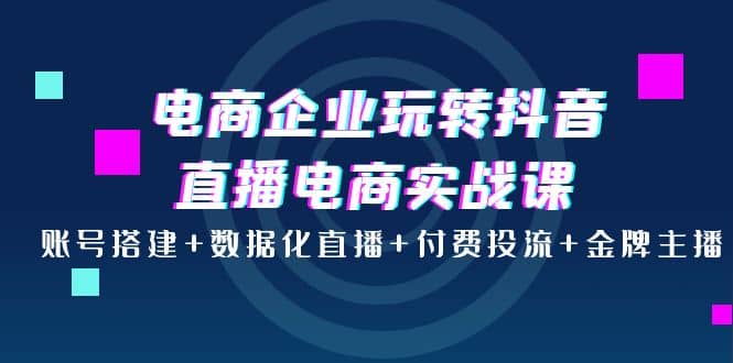 电商企业玩转抖音直播电商实战课:账号搭建 数据化直播 付费投流 金牌主播-布谷屋免费网赚资源网