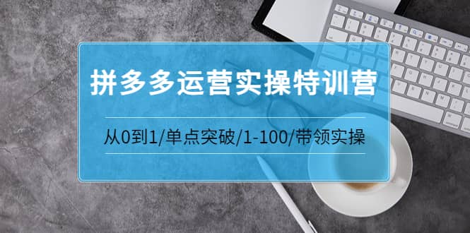 青云:拼多多运营实操特训营：从0到1/单点突破/1-100/带领实操 价值2980元-布谷屋免费网赚资源网
