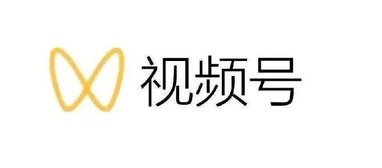 最新视频号解读，视频号真相 变现玩法【视频课程】-BT网赚资源网