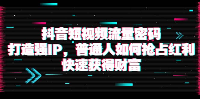 抖音短视频流量密码：打造强IP，普通人如何抢占红利，快速获得财富-布谷屋网赚资源网