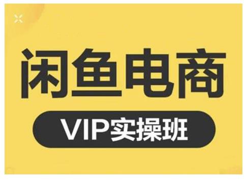 闲鱼电商零基础入门到进阶VIP实战课程，帮助你掌握闲鱼电商所需的各项技能-BT网赚资源网