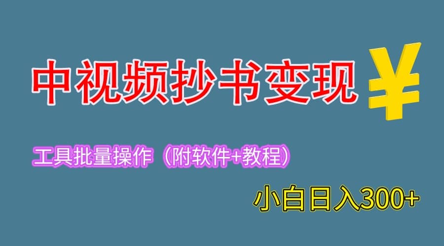 2023中视频抄书变现(附工具 教程),一天300 ,特别适合新手操作的副业-布谷屋免费网赚资源网