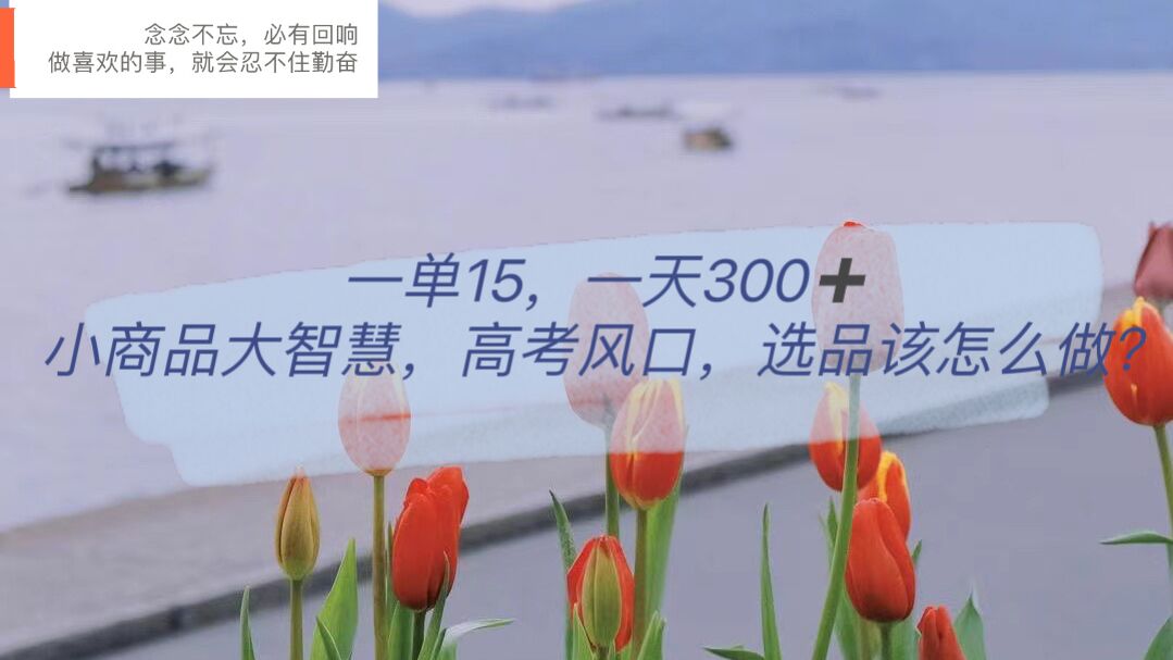 一单15,一天300 ,小商品大智慧,高考风口,选品该怎么布局-布谷屋免费网赚资源网