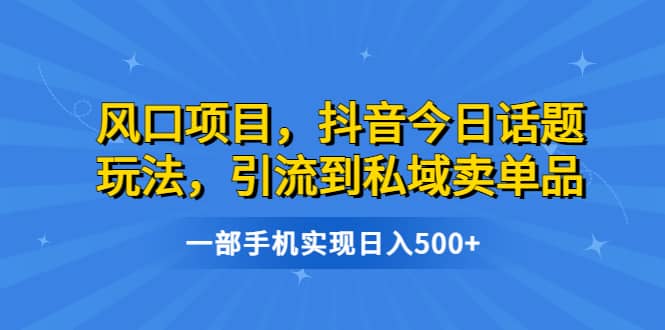 风口项目,抖音今日话题玩法,引流到私域卖单品,一部手机实现日入500-布谷屋免费网赚资源网