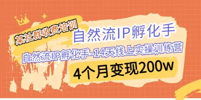 某社群收费培训：自然流IP 孵化手-14天线上实操训练营 4个月变现200w-布谷屋免费网赚资源网