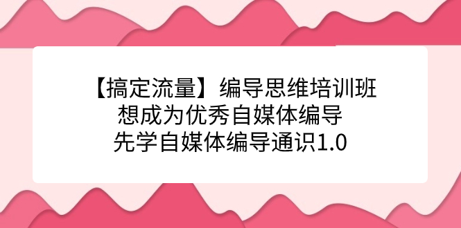 【搞定流量】编导思维培训班，想成为优秀自媒体编导先学自媒体编导通识1.0-布谷屋免费网赚资源网