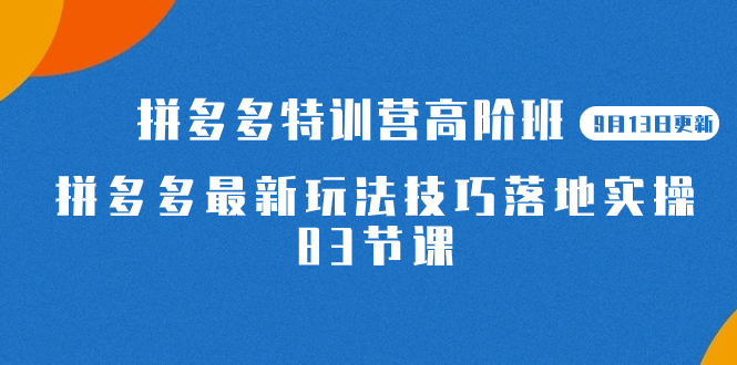 2023拼多多·特训营高阶班【9月13日更新】拼多多最新玩法技巧落地实操-83节-布谷屋免费网赚资源网