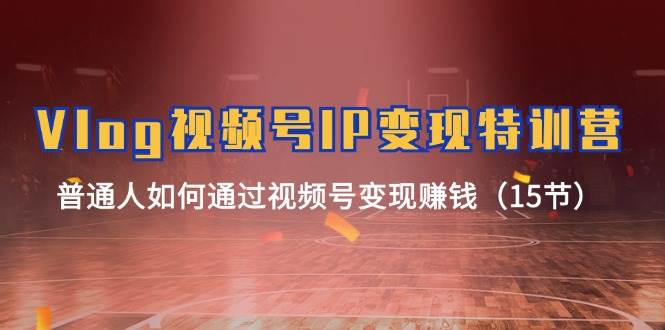 Vlog 视频号IP变现特训营,普通人如何通过视频号变现赚钱(15节)-布谷屋免费网赚资源网