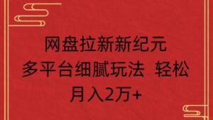 网盘拉新新纪元多平台细腻玩法 轻松月入2万+-布谷屋免费网赚资源网