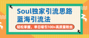 Soul独家引流思路，单日吸引100+高质量粉丝，蓝海引流法，轻松掌握-布谷屋免费网赚资源网