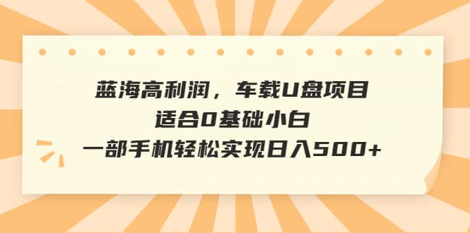 蓝海高利润，车载U盘项目，适合0基础小白，一部手机轻松实现日入500+-布谷屋免费网赚资源网