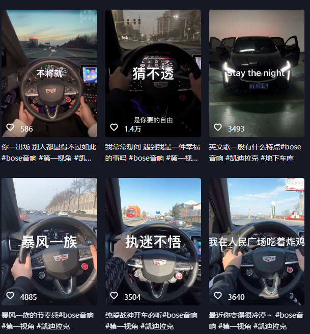 抖音开车视频项目，0基础操作，每天五分钟，月入1W+-布谷屋免费网赚资源网