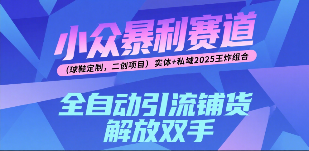 楠—小众暴利赛道（球鞋定制，二创项目）实体+私域2025王炸组合-布谷屋免费网赚资源网