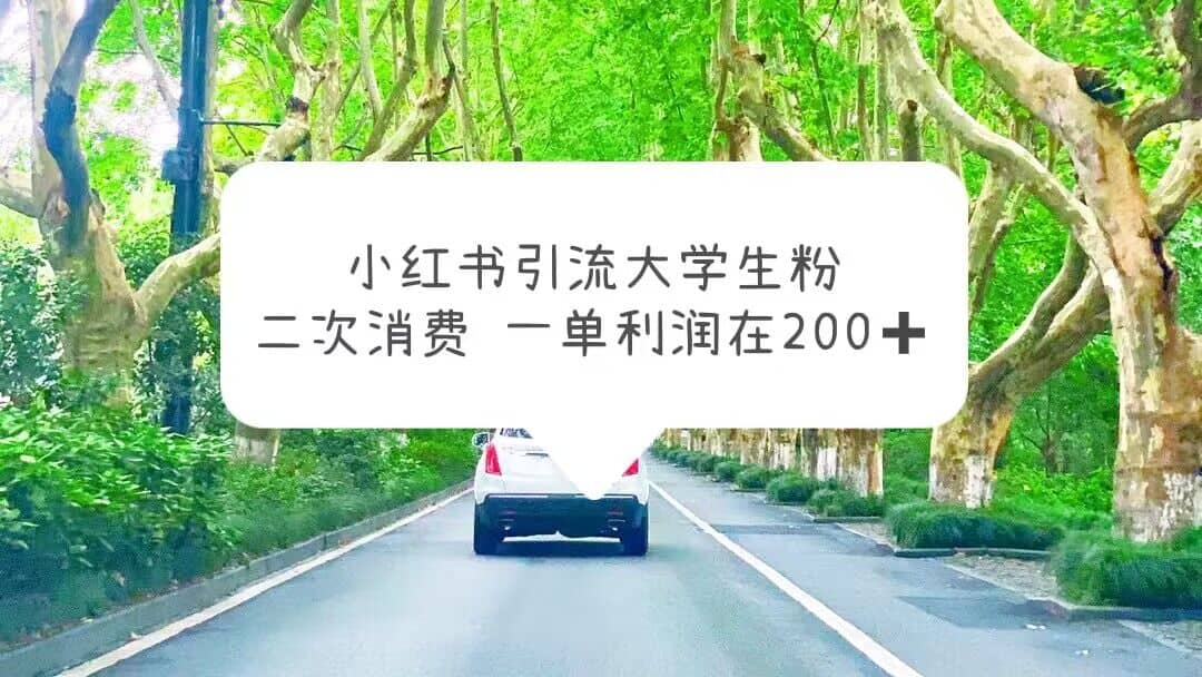 小红书引流大学生粉，变现项目，一单利润在200+（教程+资源）-布谷屋免费网赚资源网