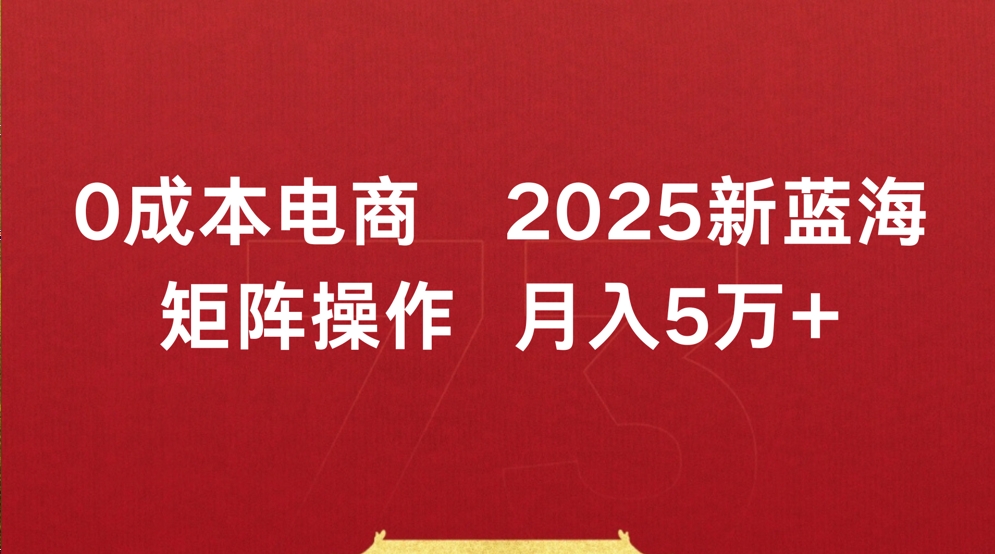0成本电商2025新蓝海矩阵操作 月入5万+-布谷屋免费网赚资源网