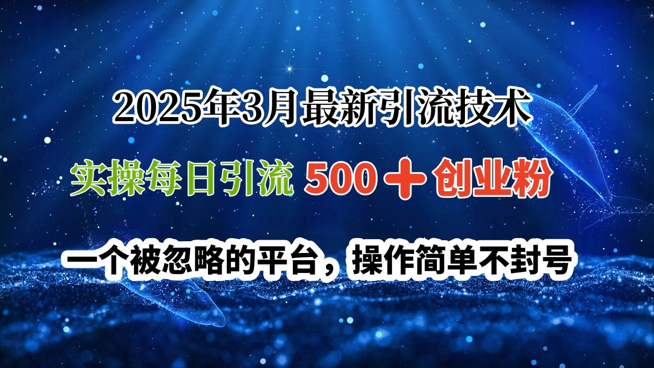 2025年3月最新引流技术,实操每日引流500➕创业粉,一个被忽略的平台,操作简单不封号-布谷屋免费网赚资源网