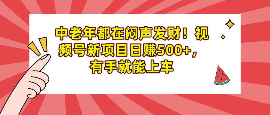中老年都在闷声发财!视频号新项目日赚500+,有手就能上车-布谷屋免费网赚资源网
