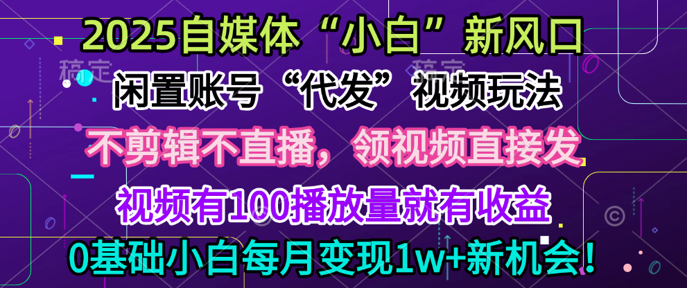 2025每月躺赚5w+新机会,闲置视频账号一键代发玩法,0粉不实名不剪辑,领了视频直接发,0基础小白也能日入300+-布谷屋免费网赚资源网