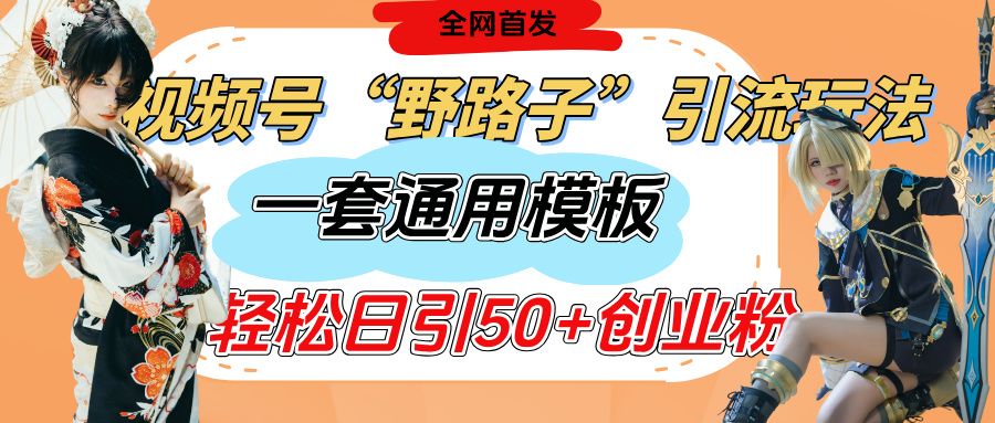 视频号“野路子”玩法,评论区疯狂截流,一套模板单日单号引流50+创业粉-布谷屋免费网赚资源网