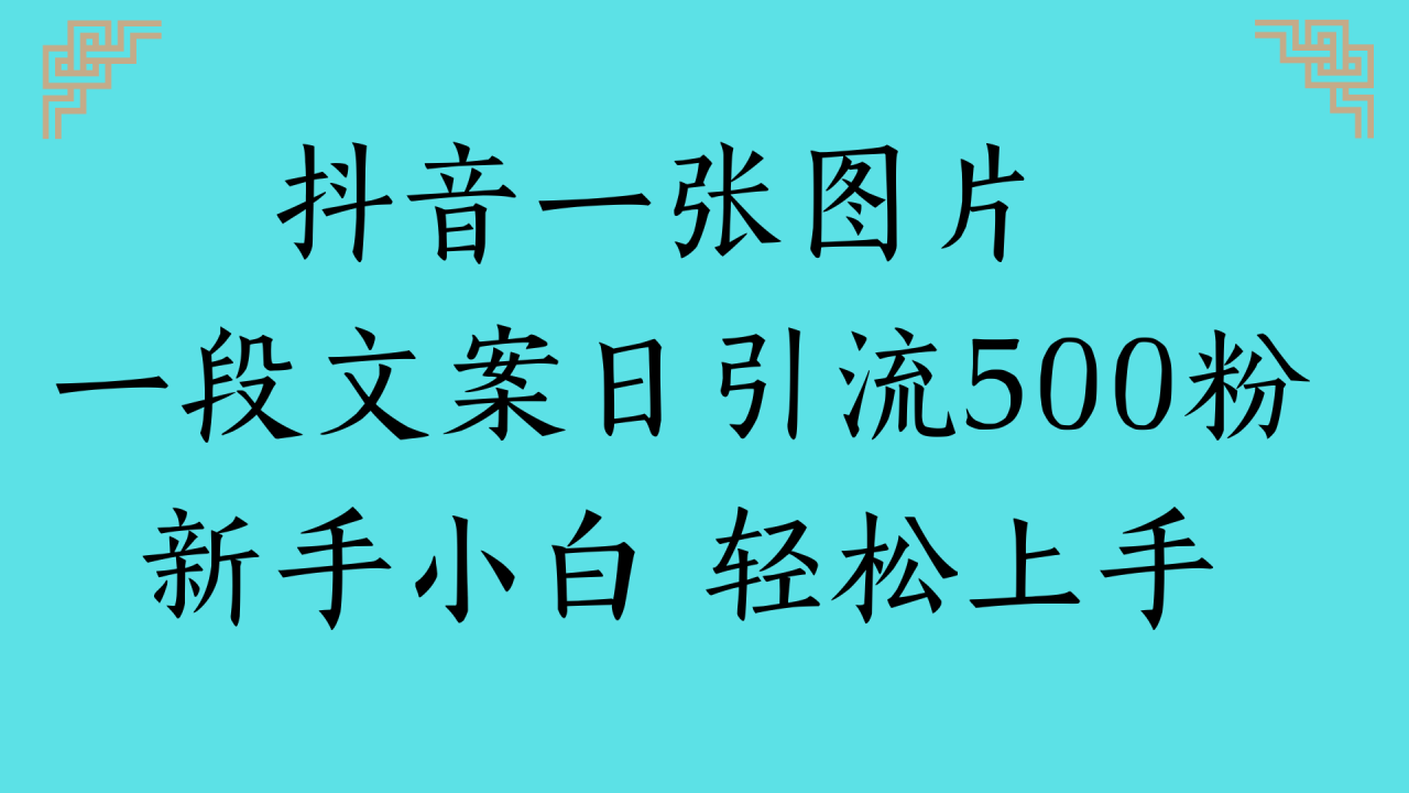 抖音一张图片 一段文案日引流500粉新手小白 轻松上手-布谷屋免费网赚资源网
