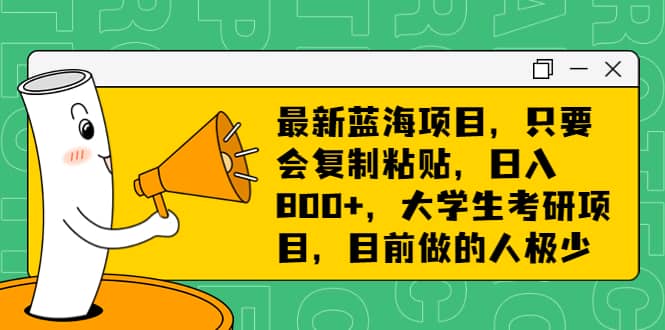 最新蓝海项目，只要会复制粘贴，日入800+，大学生考研项目，目前做的人极少-布谷屋免费网赚资源网
