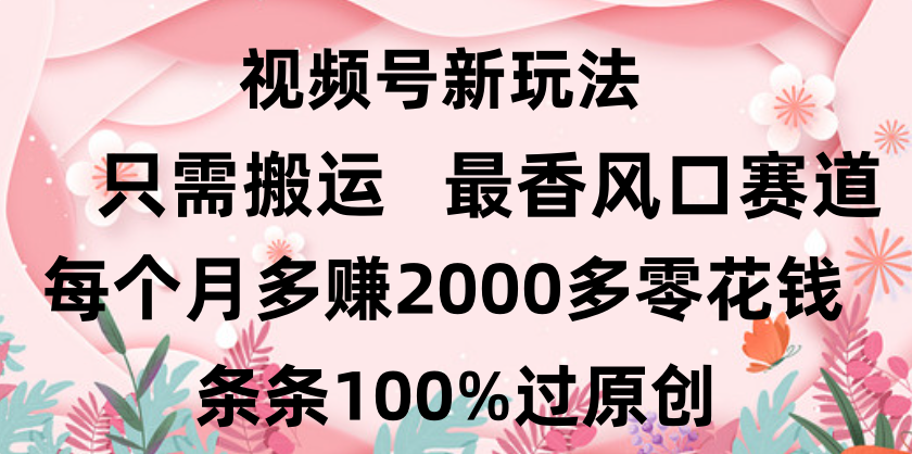日入2000+,条条100%过原创,视频号最香风口赛道,小白轻松上手-布谷屋免费网赚资源网