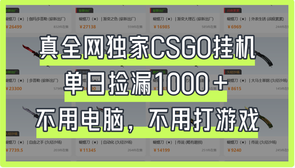 真全网独家CSGO挂机,单日捡漏1000+-布谷屋免费网赚资源网