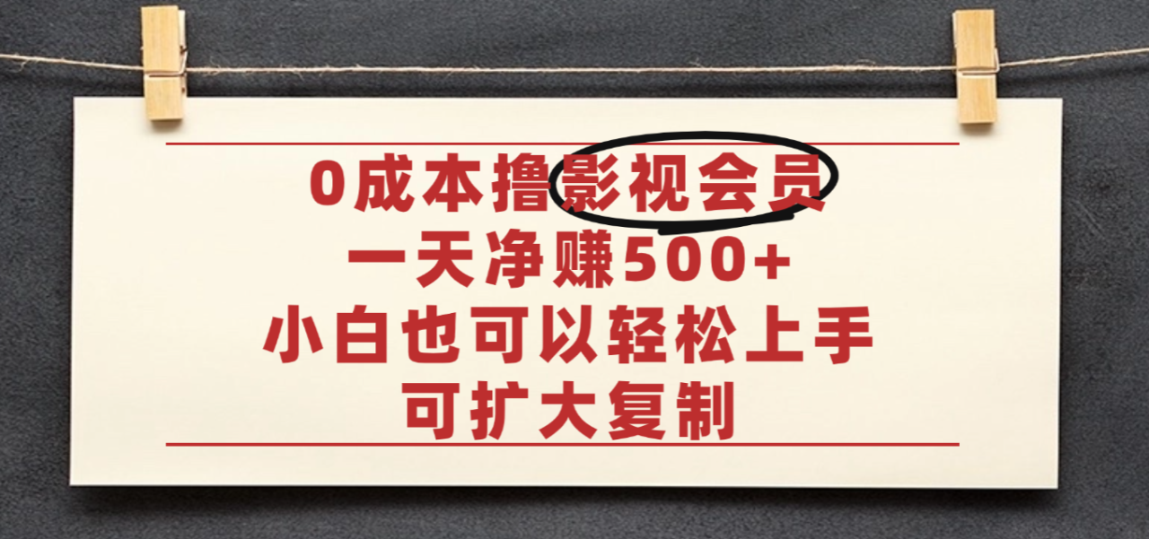 亲测,0成本可批量操作,靠卖影视会员实测月入30000+-布谷屋免费网赚资源网