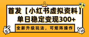 首发【小红书店铺虚拟资料】全新升级玩法,可矩阵操作,单日稳定变现300+-布谷屋免费网赚资源网