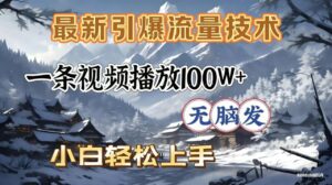 2026年引爆流量技术，一条视频播放100W＋，无脑发，小白轻松上手-布谷屋免费网赚资源网