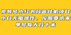 视频号小红书抖音挂机项目,小白无脑操作,按照要求来,单号每天几十米-布谷屋免费网赚资源网