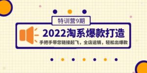 2022淘系爆款打造特训营9期:手把手带您链接起飞,全店运销,轻松出爆款-布谷屋免费网赚资源网