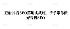 王通·抖音SEO落地实战班,手手带你做好音抖SEO-布谷屋免费网赚资源网