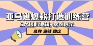 亚马逊爆款打造训练营:5大核心逻辑 案例展示 打造爆款链接 高效 省钱 稳定-布谷屋免费网赚资源网