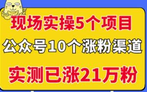 现场实操5个公众号项目,10个涨粉渠道,实测已涨21万粉!-布谷屋免费网赚资源网